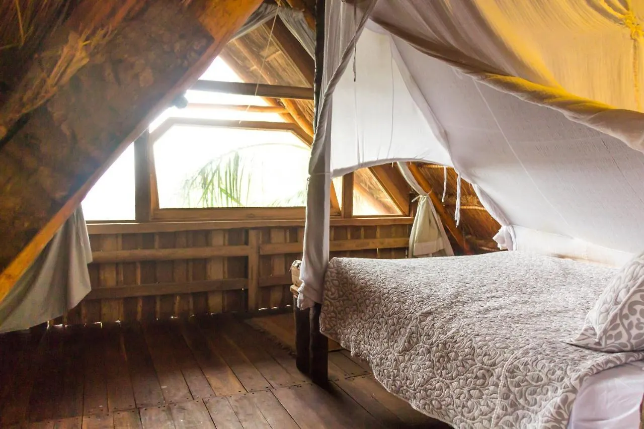 Bambu Gran Palas Hostal Party 0*, Tulum México