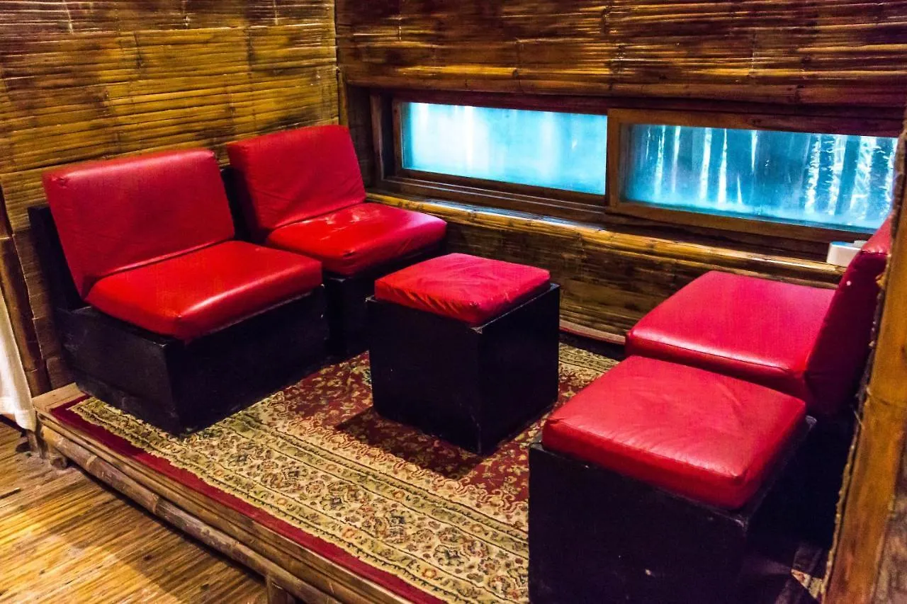 Bambu Gran Palas Hostal Party Albergue Tulum