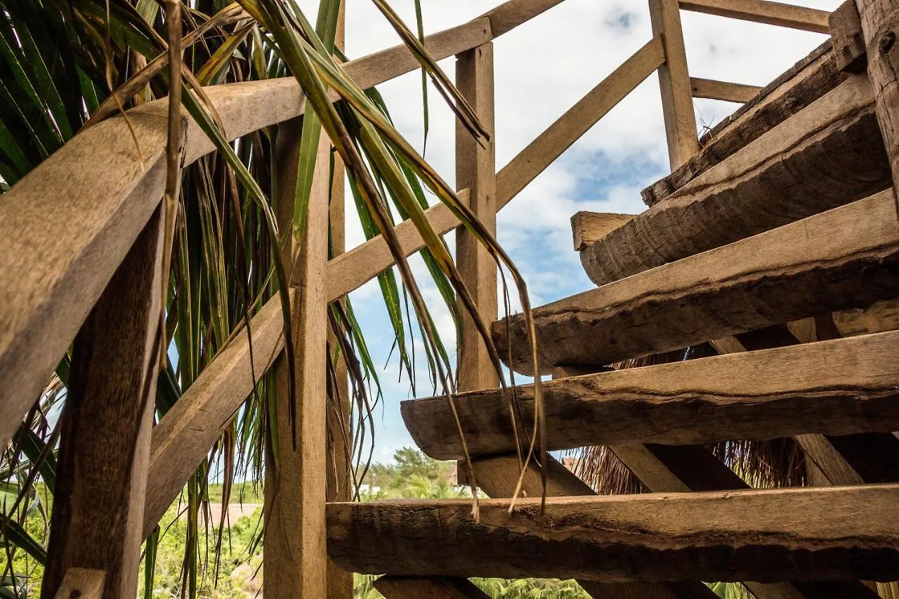 Bambu Gran Palas Hostal Party