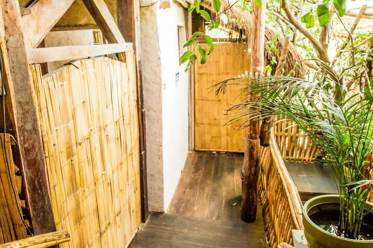 Bambu Gran Palas Hostal Party México