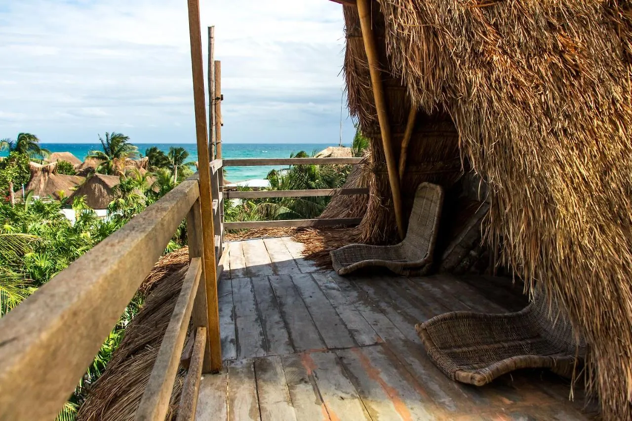 Bambu Gran Palas Hostal Party