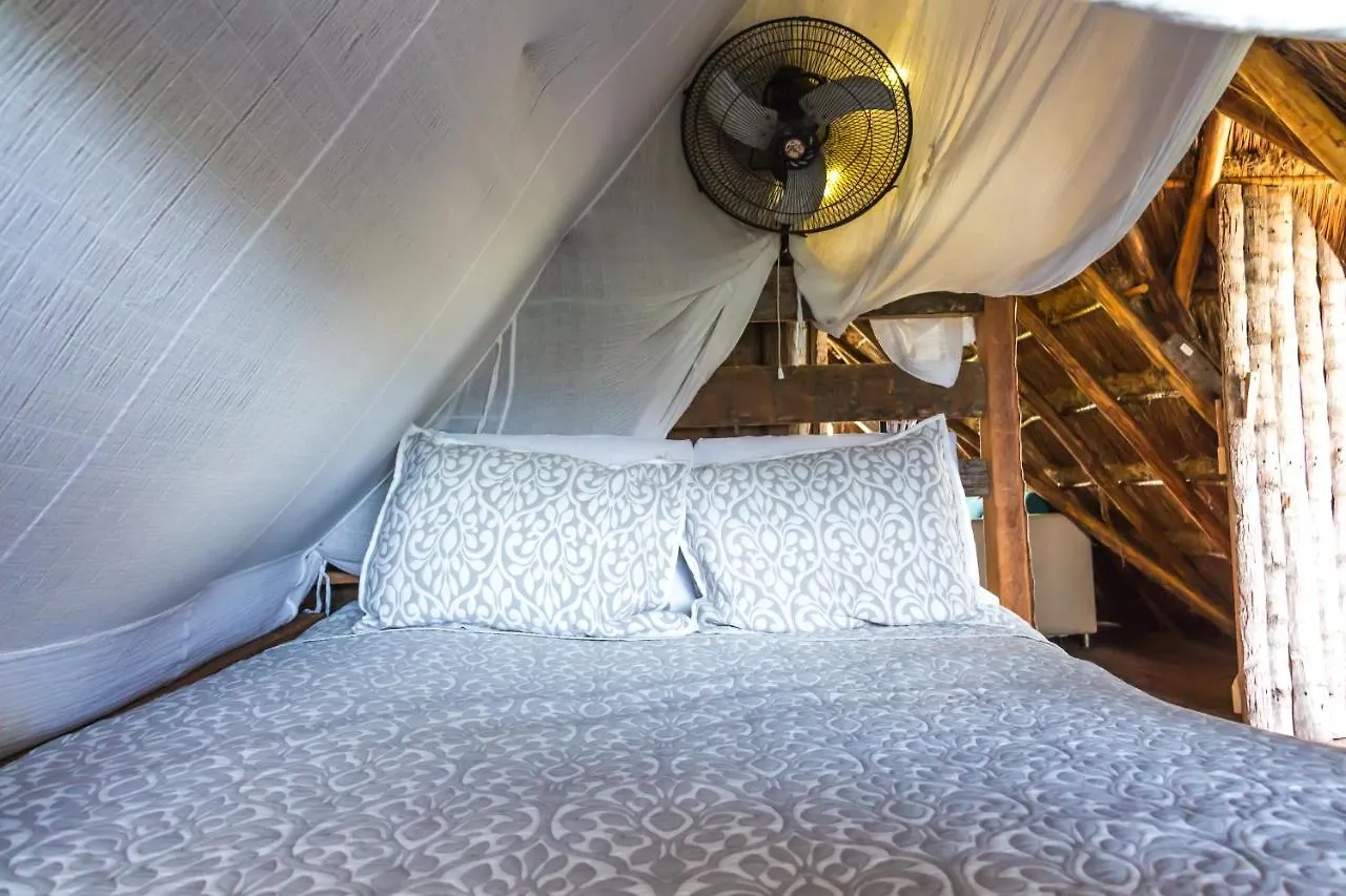 Albergue Bambu Gran Palas Hostal Party