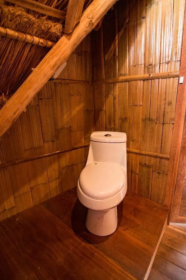 Bambu Gran Palas Hostal Party Mexico