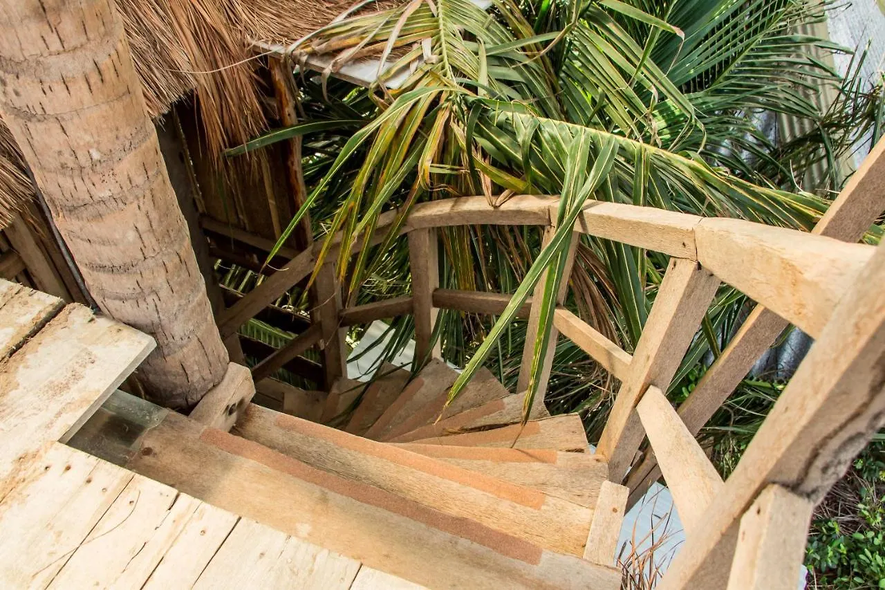 Hostel Bambu Gran Palas Hostal Party
