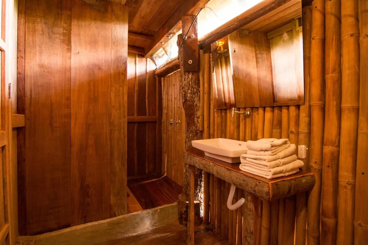 Hostel Bambu Gran Palas Hostal Party Mexico