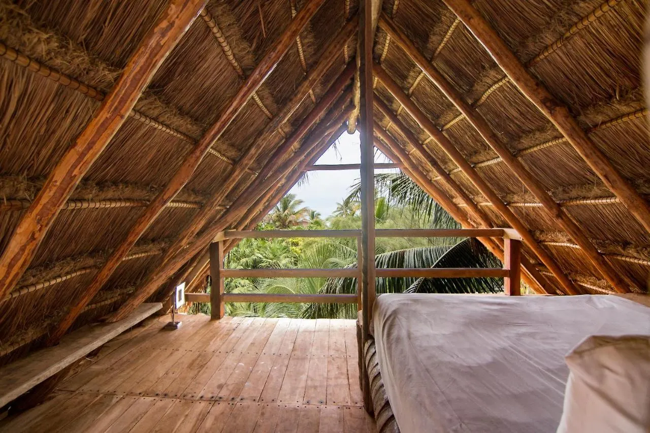 Hostel Bambu Gran Palas Hostal Party