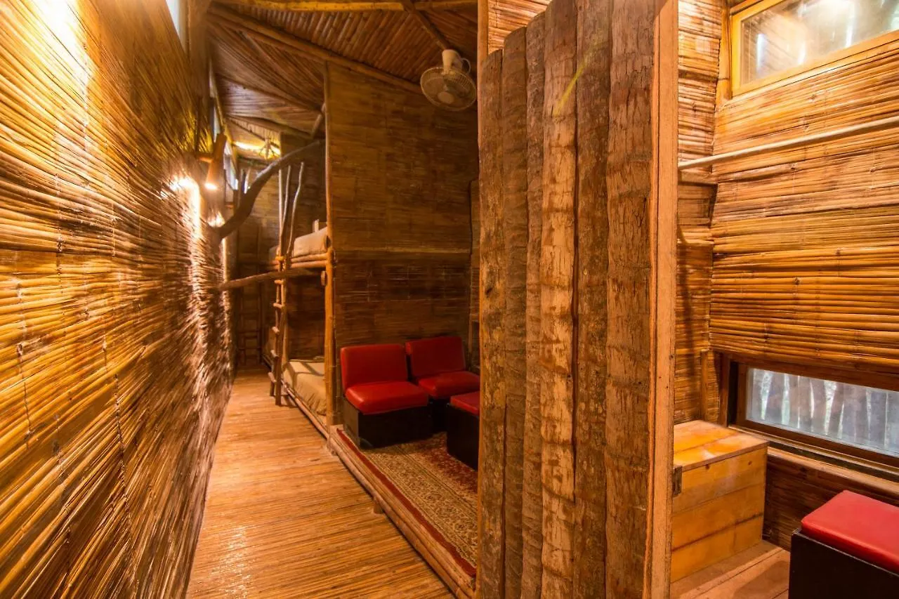 Hostel Bambu Gran Palas Hostal Party Mexico