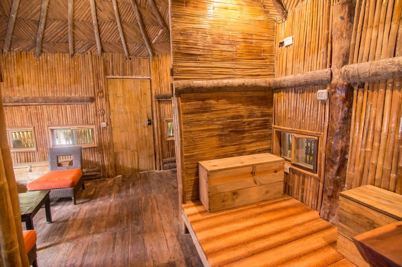 Hostel Bambu Gran Palas Hostal Party